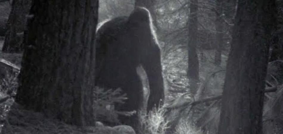 Aliens, Cannibalism & The Return Of Bigfoot!